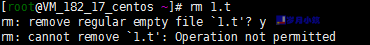 Cannot remove file (Operation not permitted)