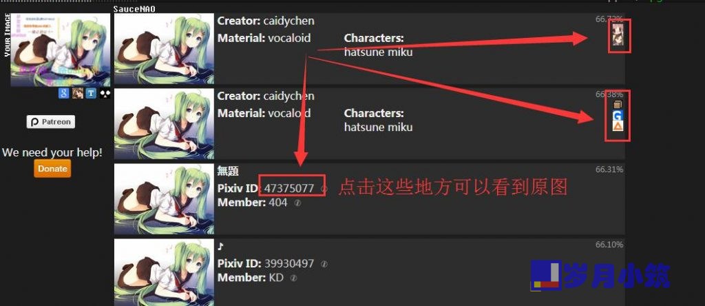 Image Search Options，以图搜图 查找喜欢图片的出处